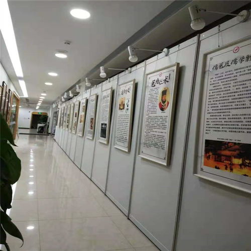 深圳展板出租價格及網絡科技領域技術開發(fā)支持服務概覽